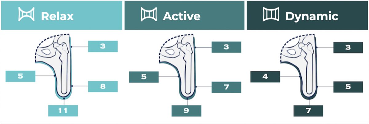 Diagramm Standard-Dickenprofil — transfemoral