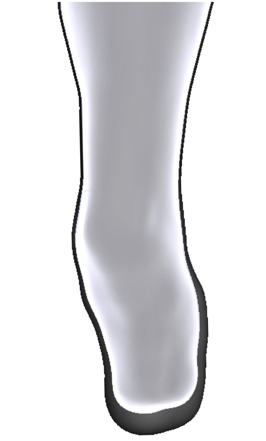 Osseo — Modello 3D