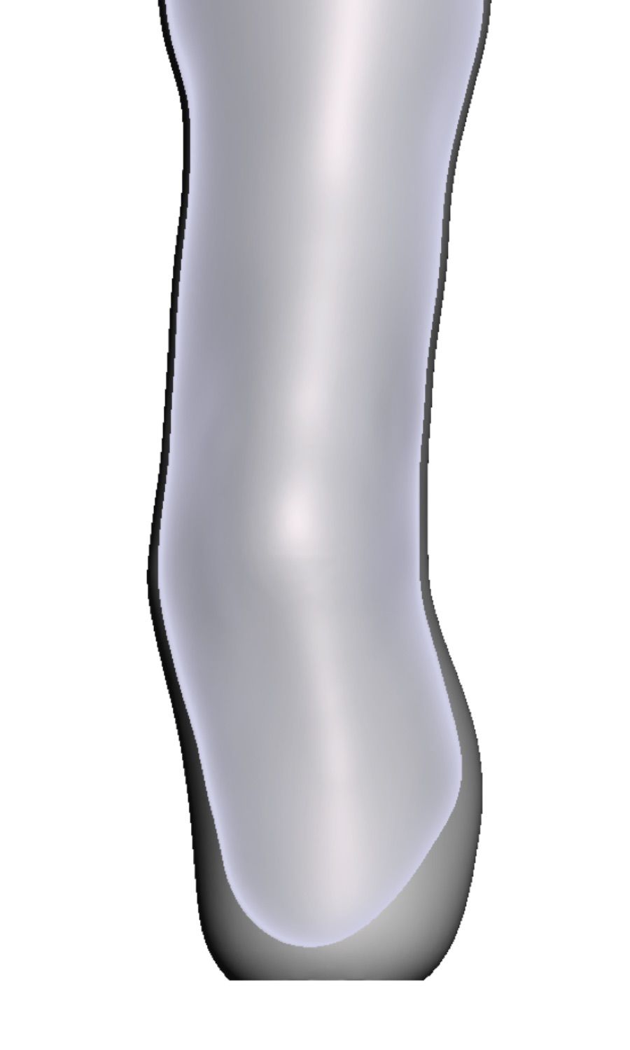 Perone prominente — Modello 3D