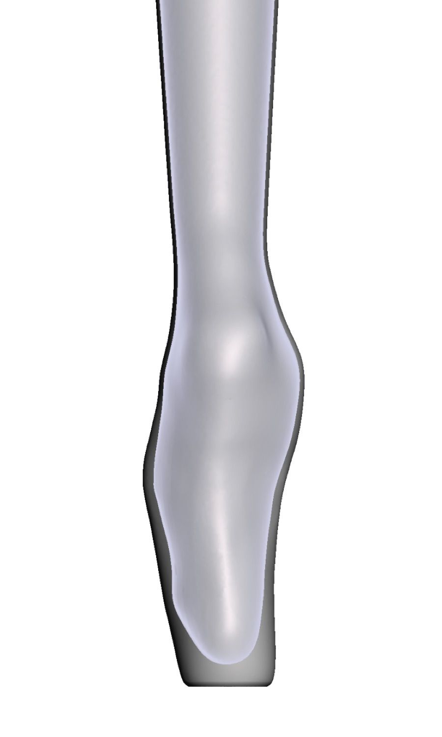 Coscia sottile — Modello 3D