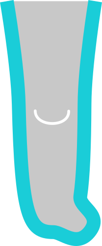 Adapted distal shape