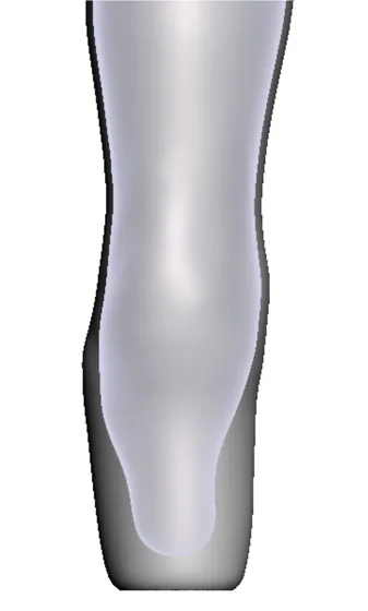 Pediatrics / XXS — 3D model