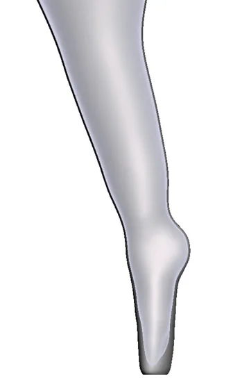 Rotationplasty — 3D model