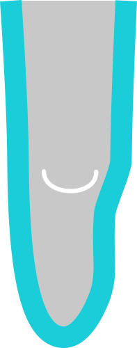 Adapted Shape