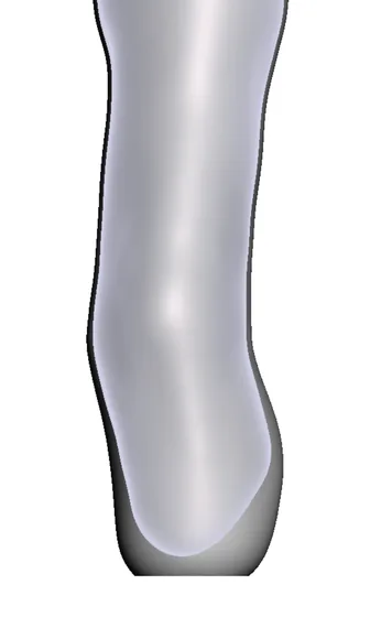 Prominent Fibula — 3D model